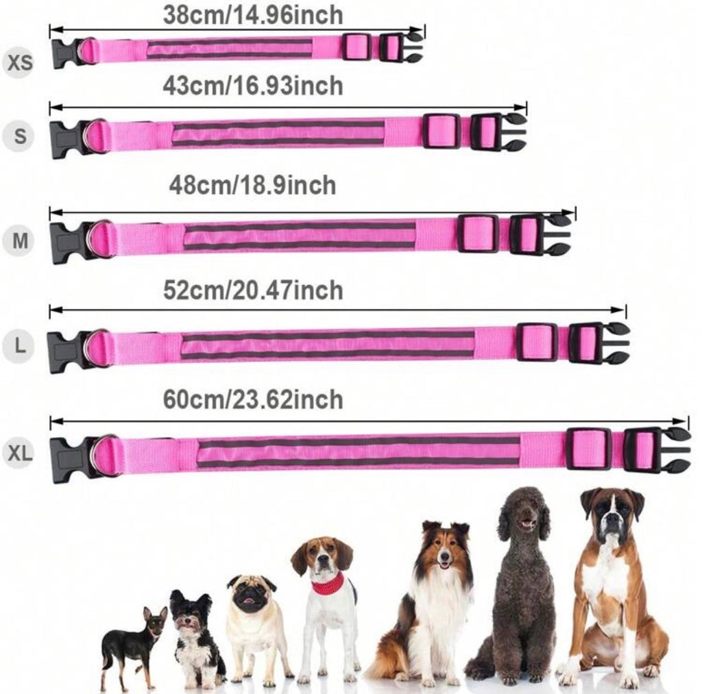 COLLAR LUMINOSO