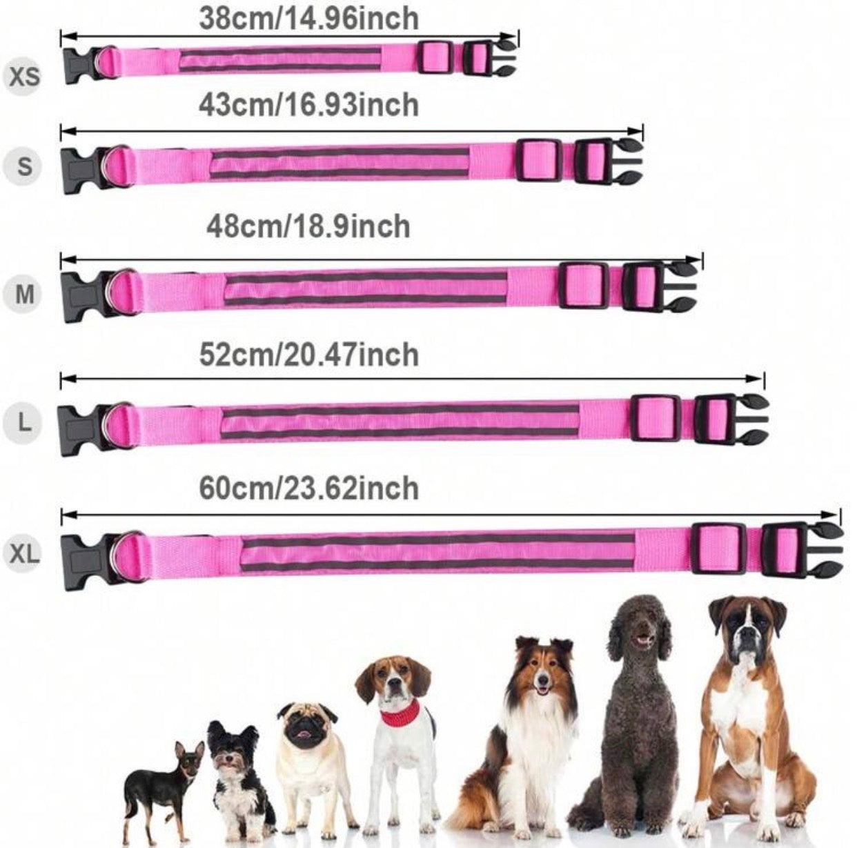 COLLAR LUMINOSO