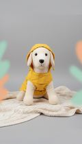 Impermeable amarillo sol para perros