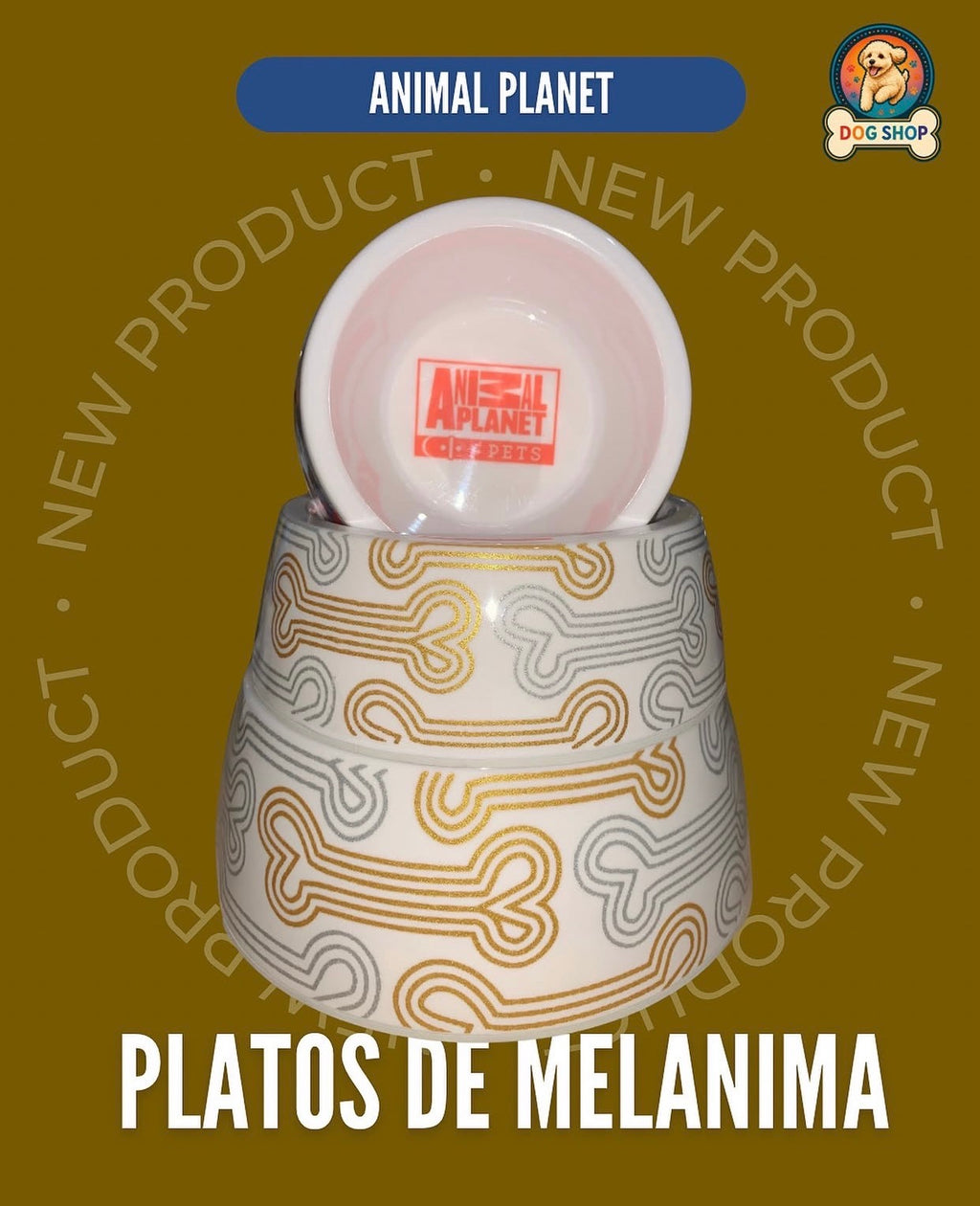 PLATO ANIMAL PLANET