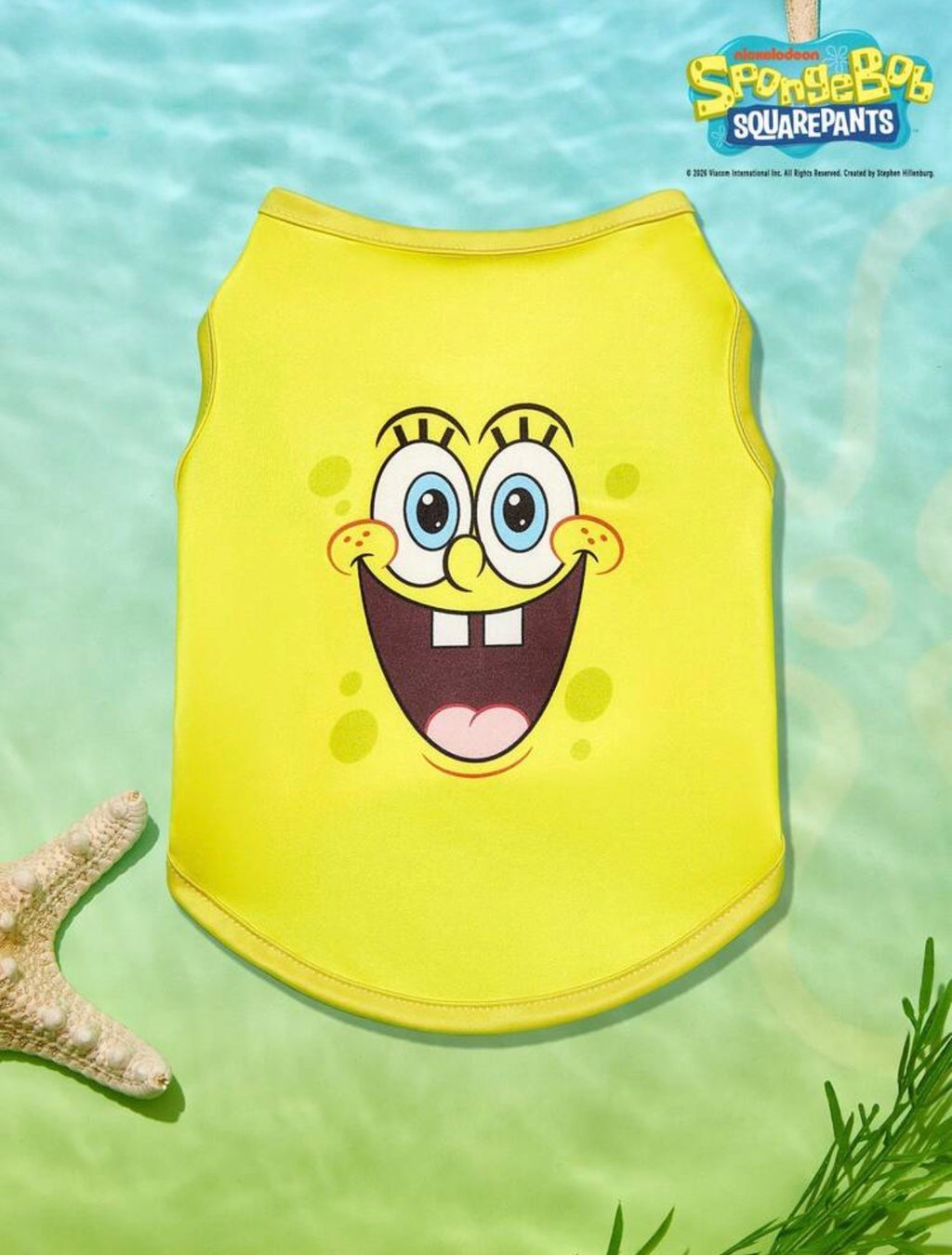 BOB ESPONJA