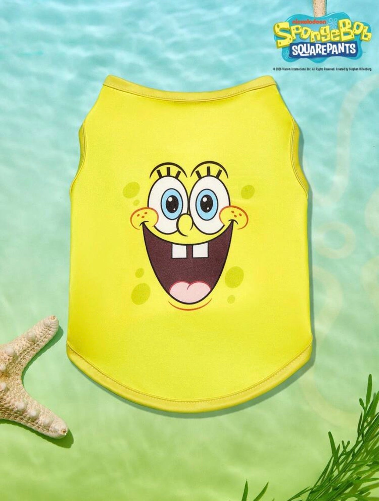BOB ESPONJA