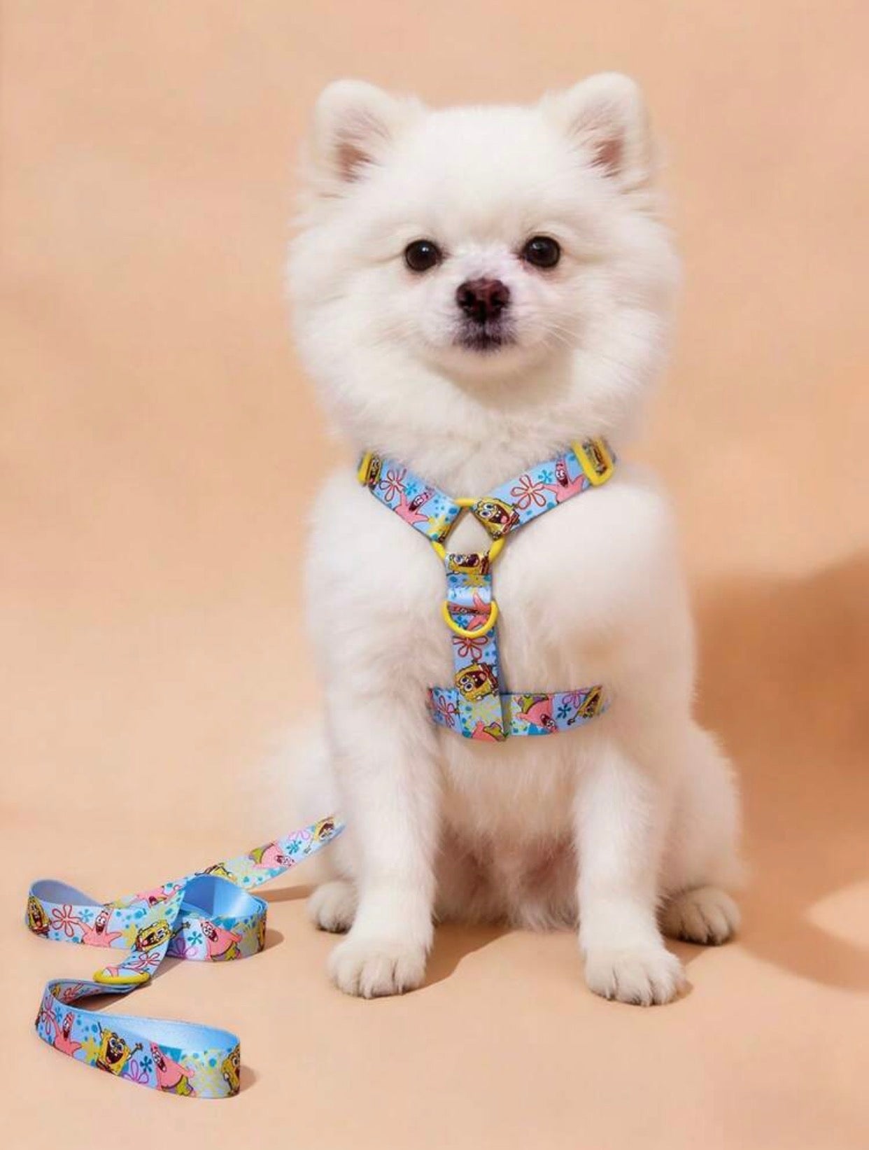 BOB ESPONJA - ARNÉS + MOCHILA