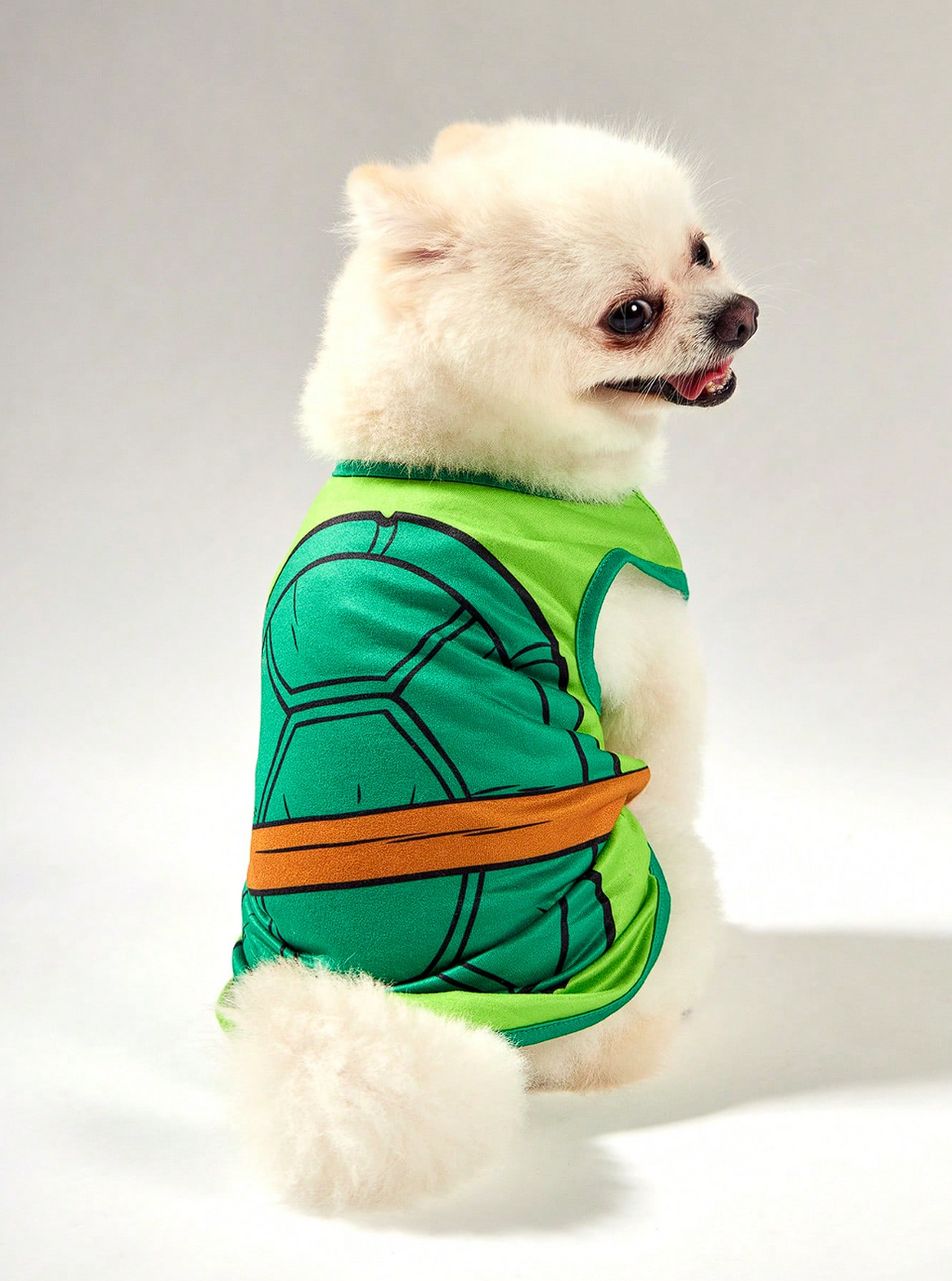 TORTUGAS NINJA - CAMISA
