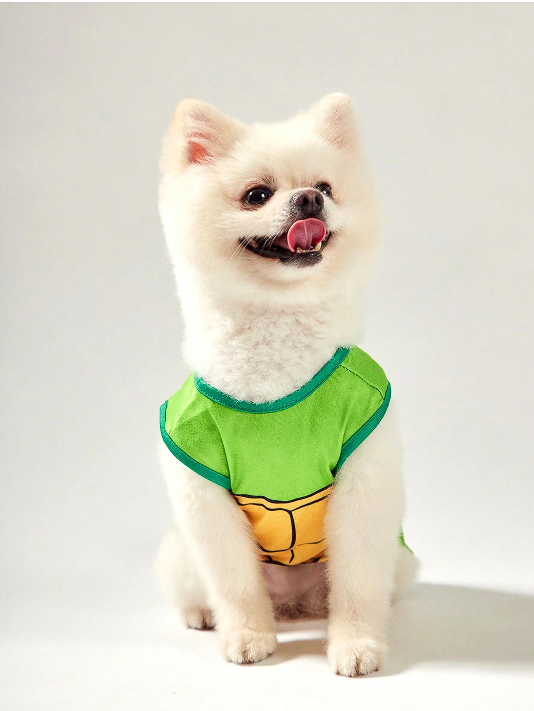 TORTUGAS NINJA - CAMISA