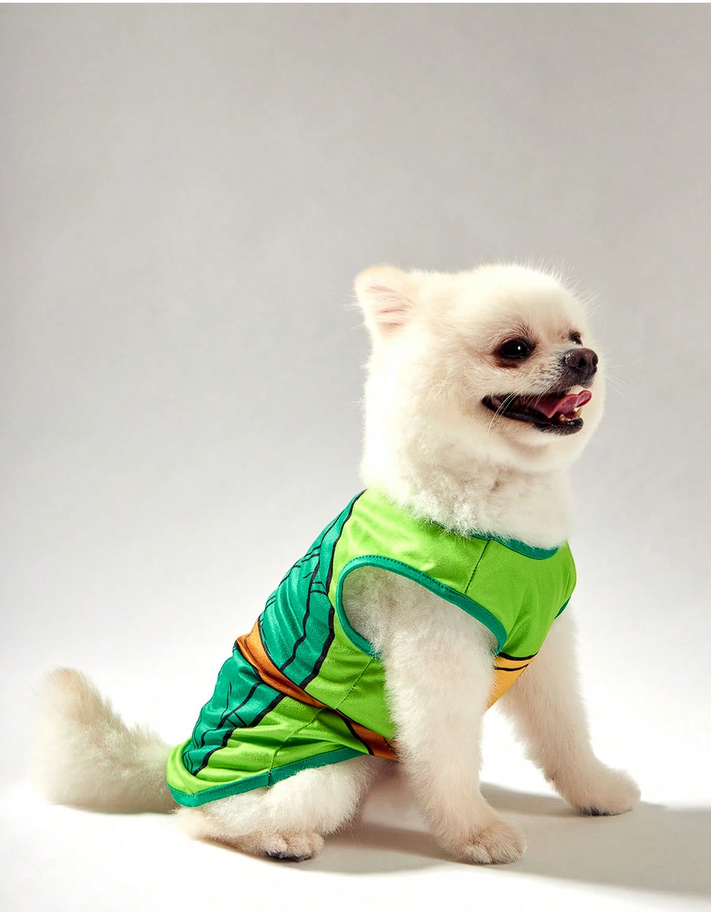 TORTUGAS NINJA - CAMISA