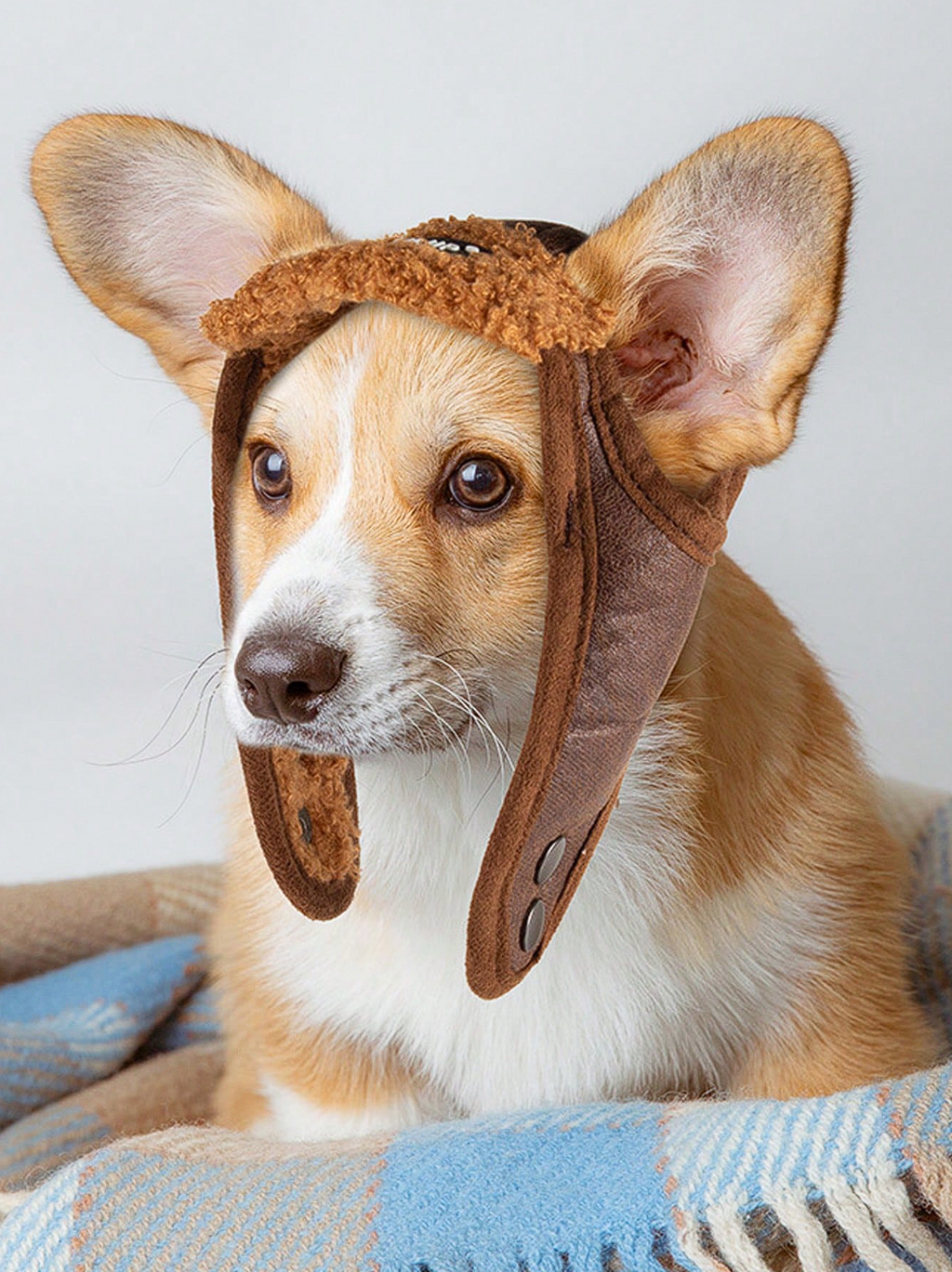 GORRITO AVIADOR