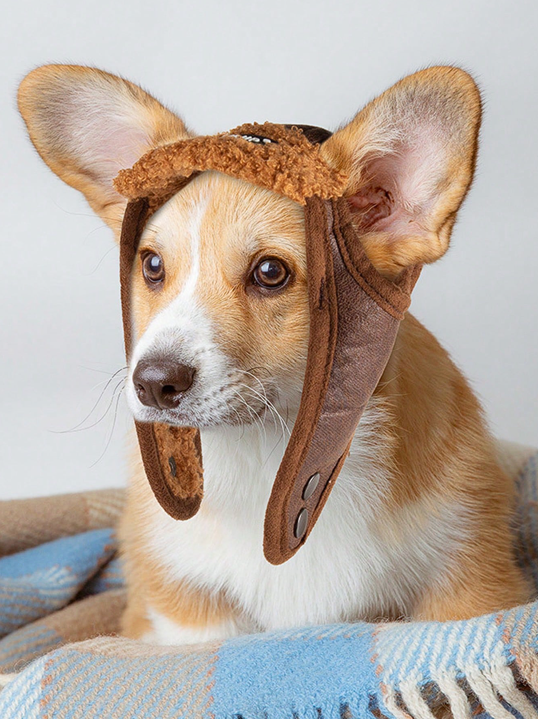 GORRITO AVIADOR