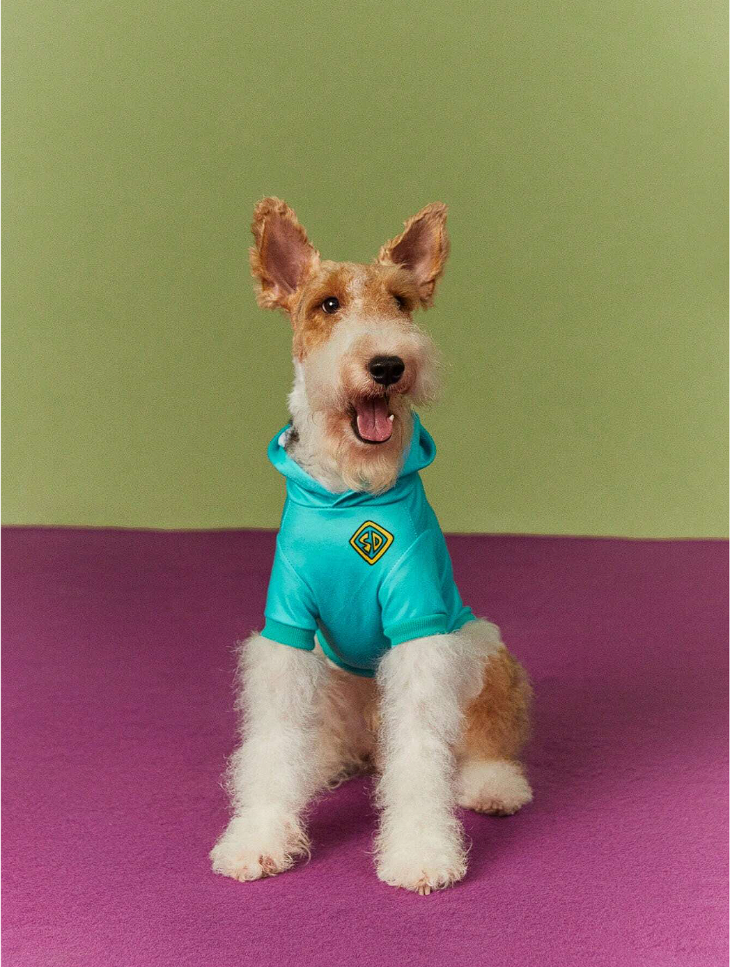 SCOOBY- SUDADERA