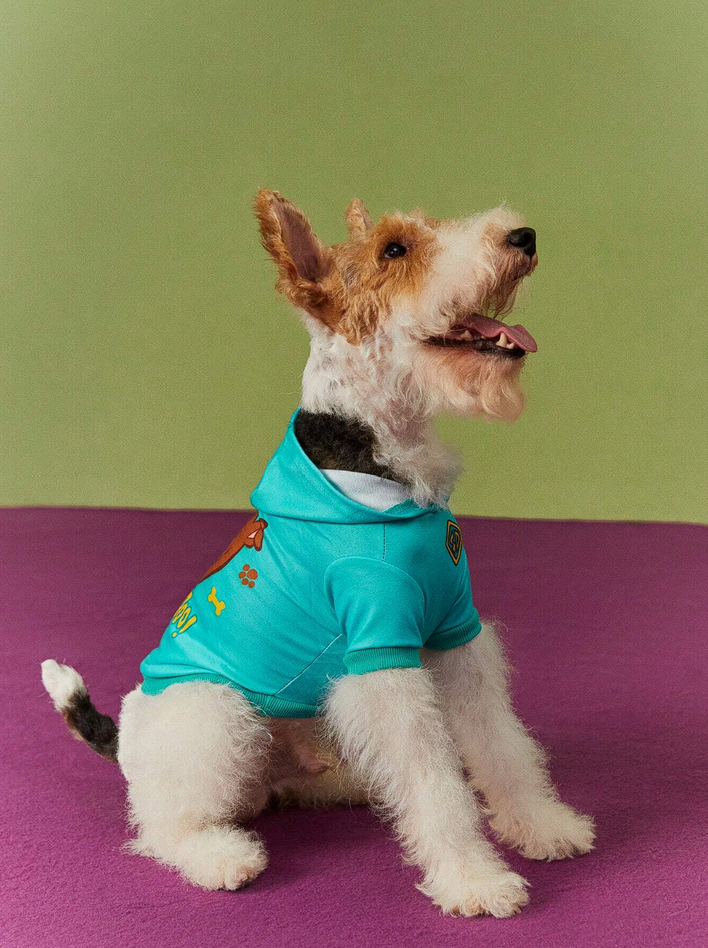 SCOOBY- SUDADERA