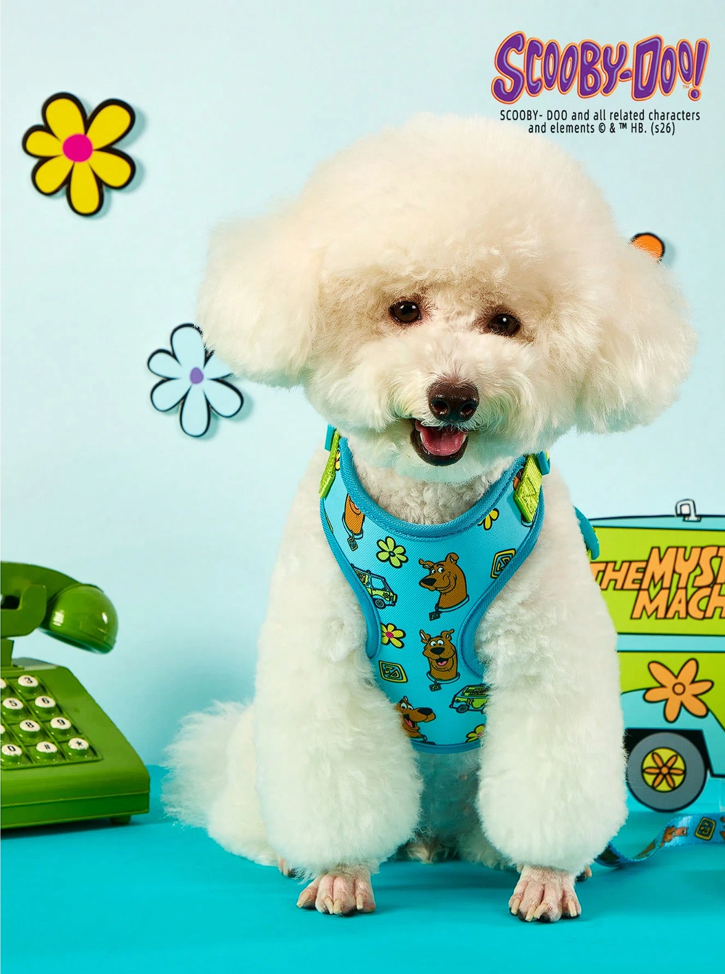 SCOOBY - PECHERA
