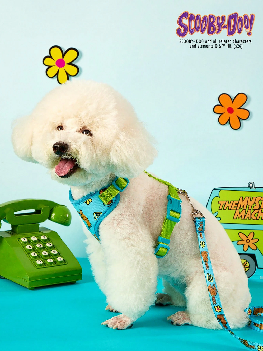 SCOOBY - PECHERA
