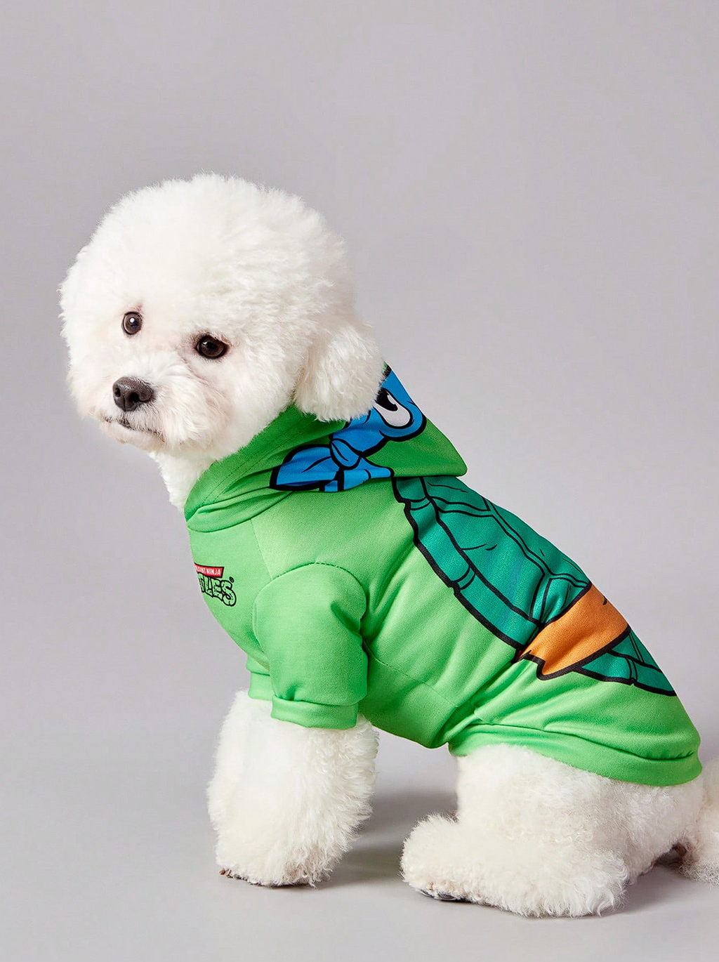 TORTUGAS NINJA - SUDADERA
