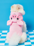 CERDITO - DISFRAZ