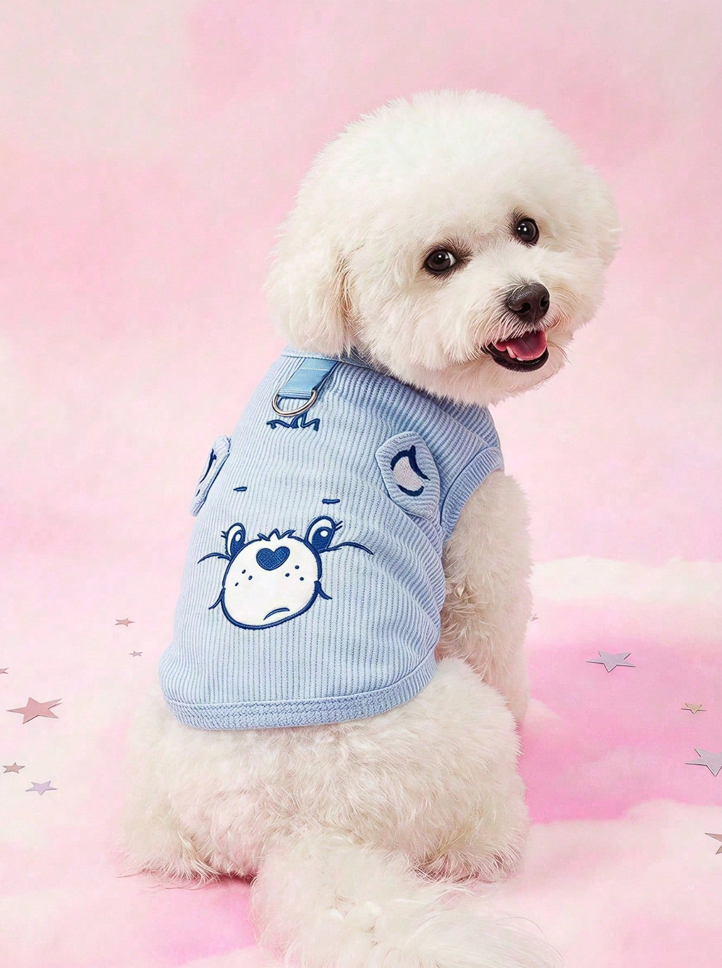 CARE BEARS - CAMICITA