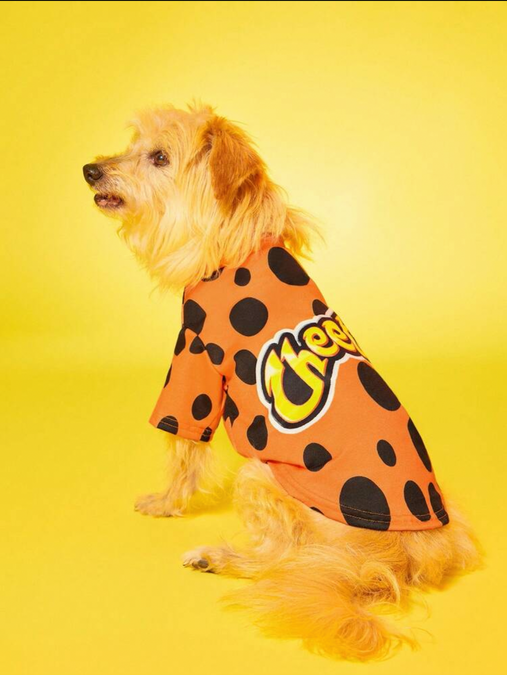 CHEETOS CAMISA