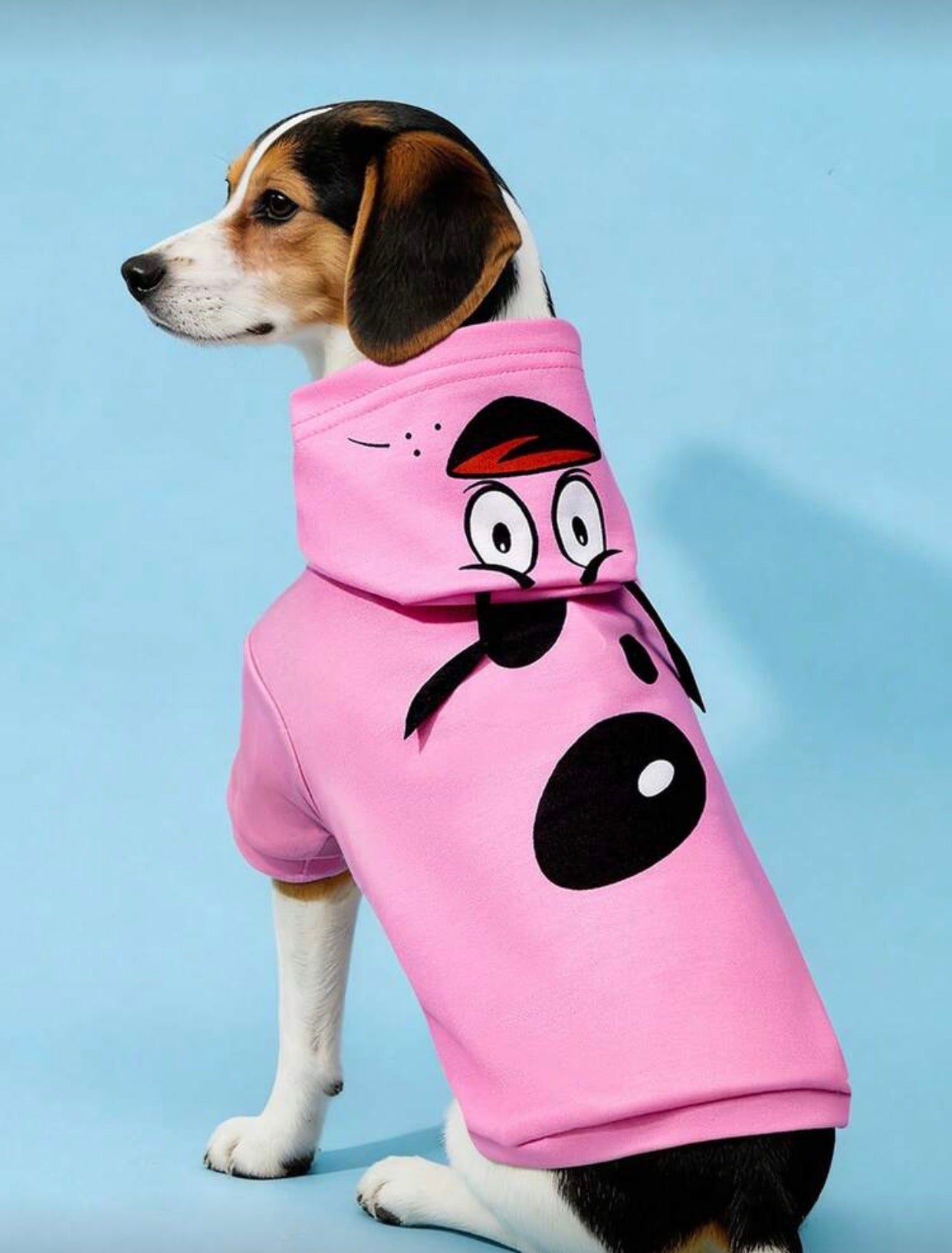 CORAJE EL PERRO COBARDE SUDADERO