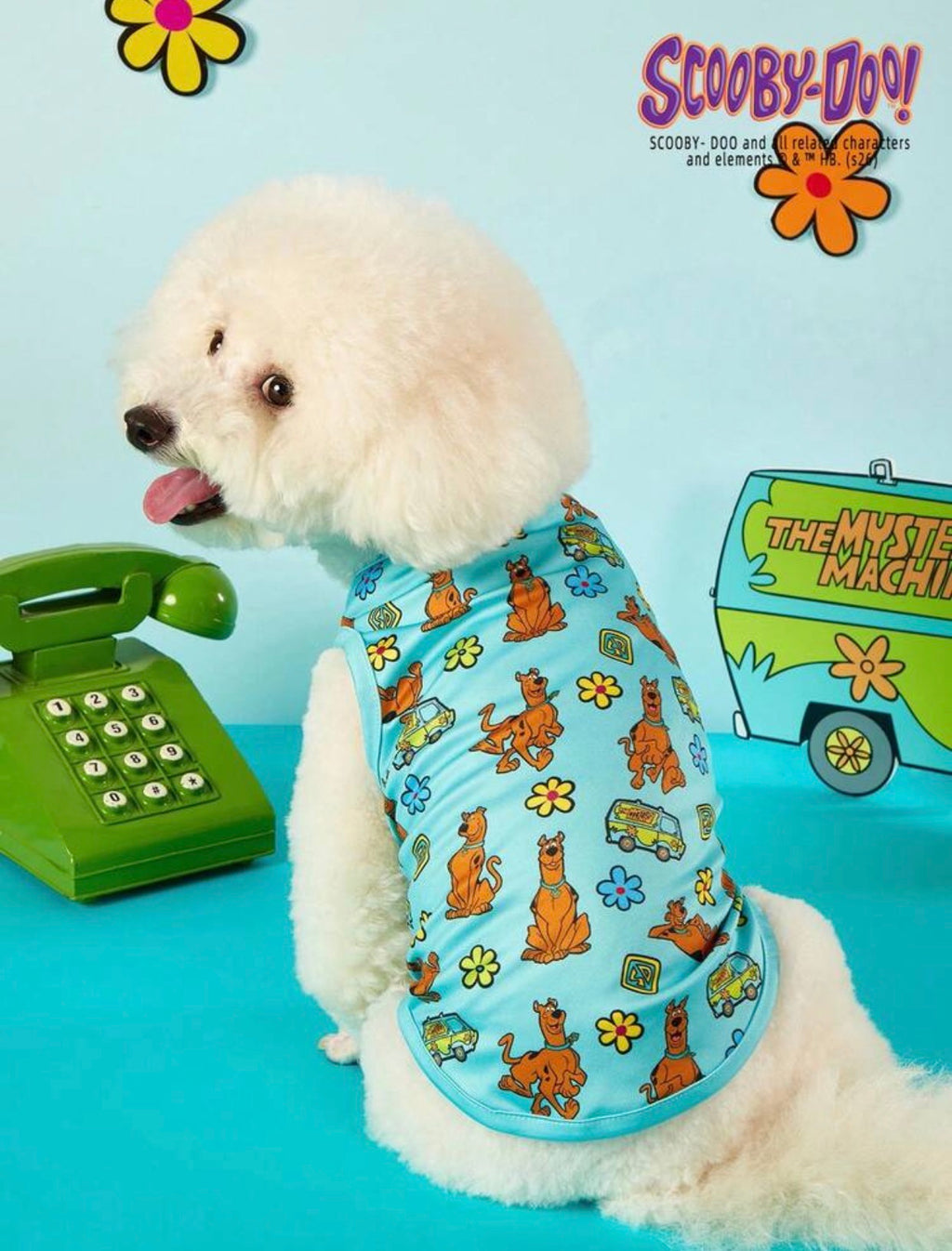 SCOOBY- CAMISA COLORES