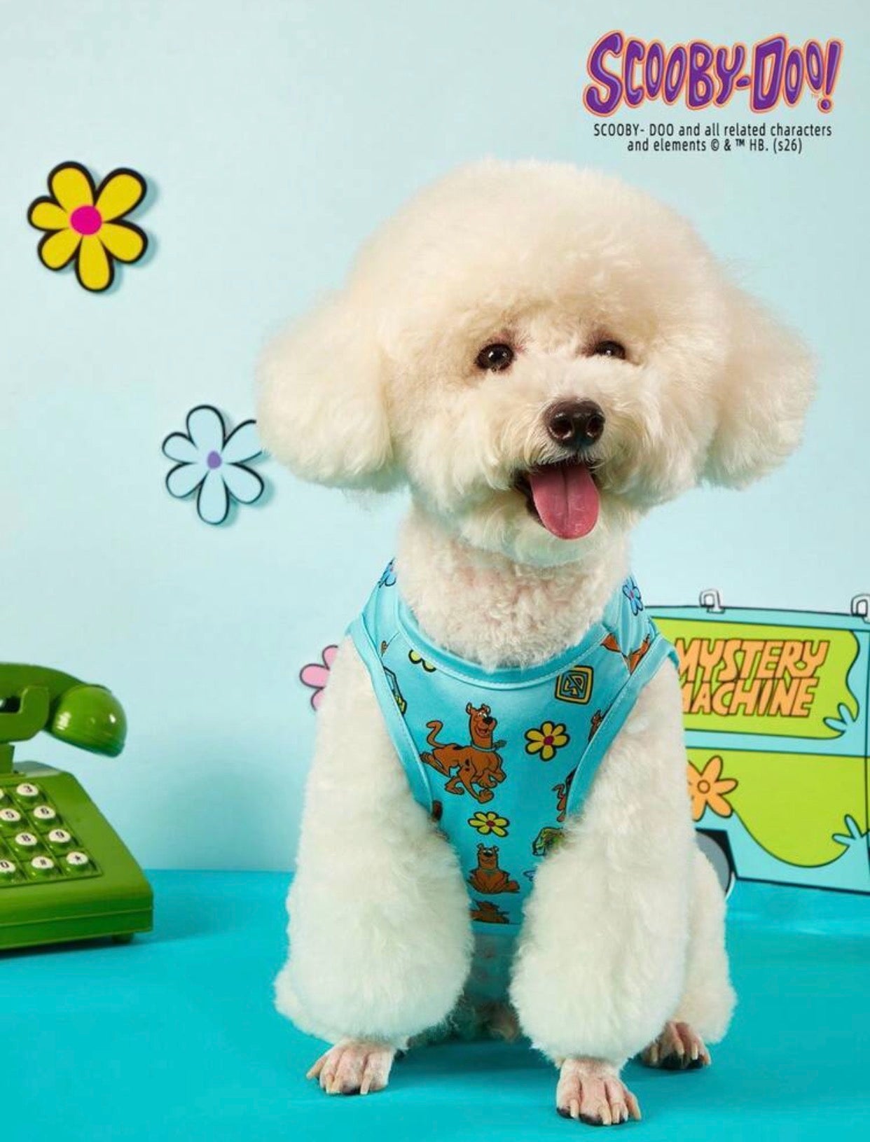 SCOOBY- CAMISA COLORES