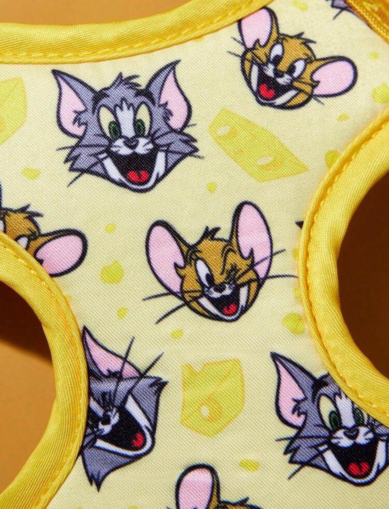 TOM & JERRY / PECHERA